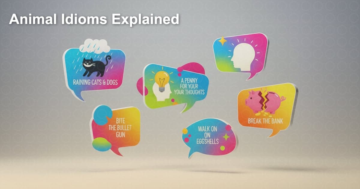 동물 관용구로 영어 실력 UP! 꿀팁 대방출 🍯